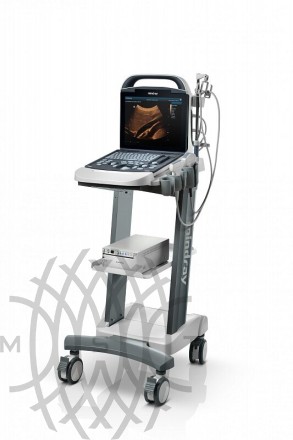 УЗИ аппарат Mindray DP-10 Vet портативный