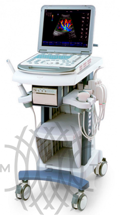 Ultratovush apparati Mindray M5 portativ
