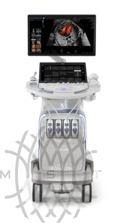 GE Voluson Expert 22 аппарат УЗИ