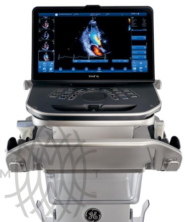 Ультразвуковой аппарат GE Vivid iQ