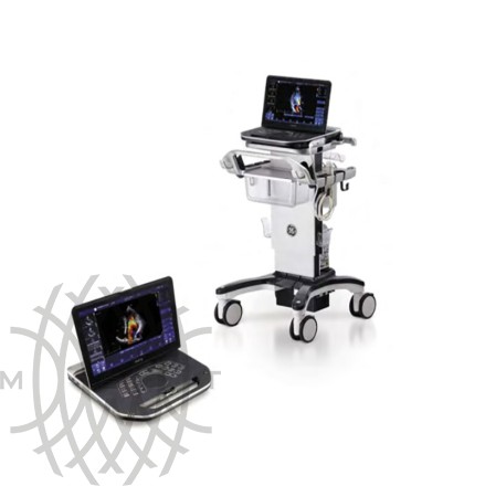 Ультразвуковой аппарат GE Vivid iQ