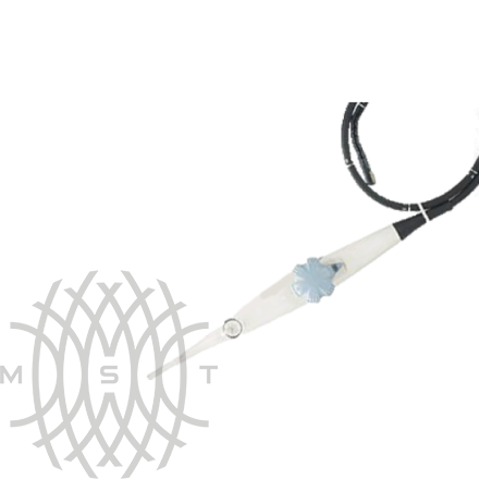 GE 6TC transezofagial ultratovush sensori